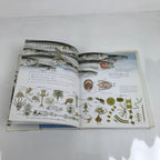 Japanese Fish Of The Sea Illustrated Book C1990 Full Color Kids Encyclopedia HN3