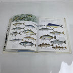 Japanese Fish Of The Sea Illustrated Book C1990 Full Color Kids Encyclopedia HN3