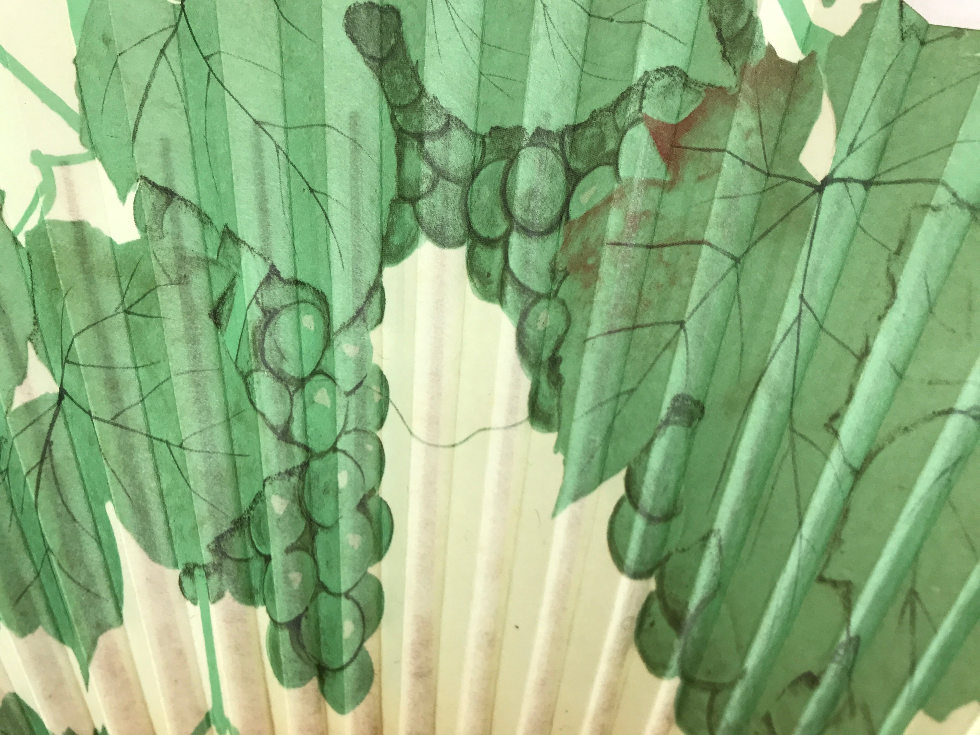 Japanese Folding Fan Sensu Vtg Bamboo Frame Green Grapes Red Seal 4D749
