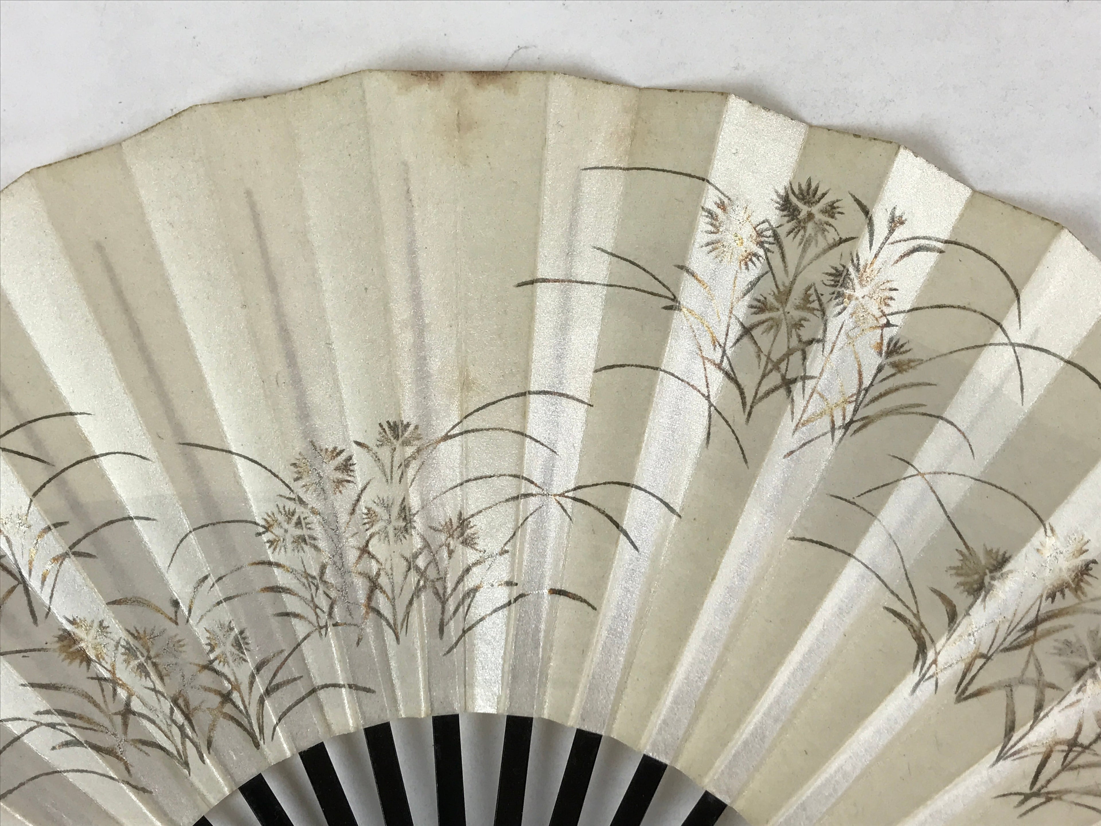 Japanese Folding Fan Sensu Vtg Lacquer Bamboo Frame Beige Nadeshiko Flower 4D742