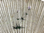 Japanese Folding Fan Sensu Vtg Lacquer Bamboo Frame Nadeshiko Flower 4D744