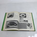 Japanese Food Recipe Book C1960 Vtg Cookbook Traditional Party Cooking HN8