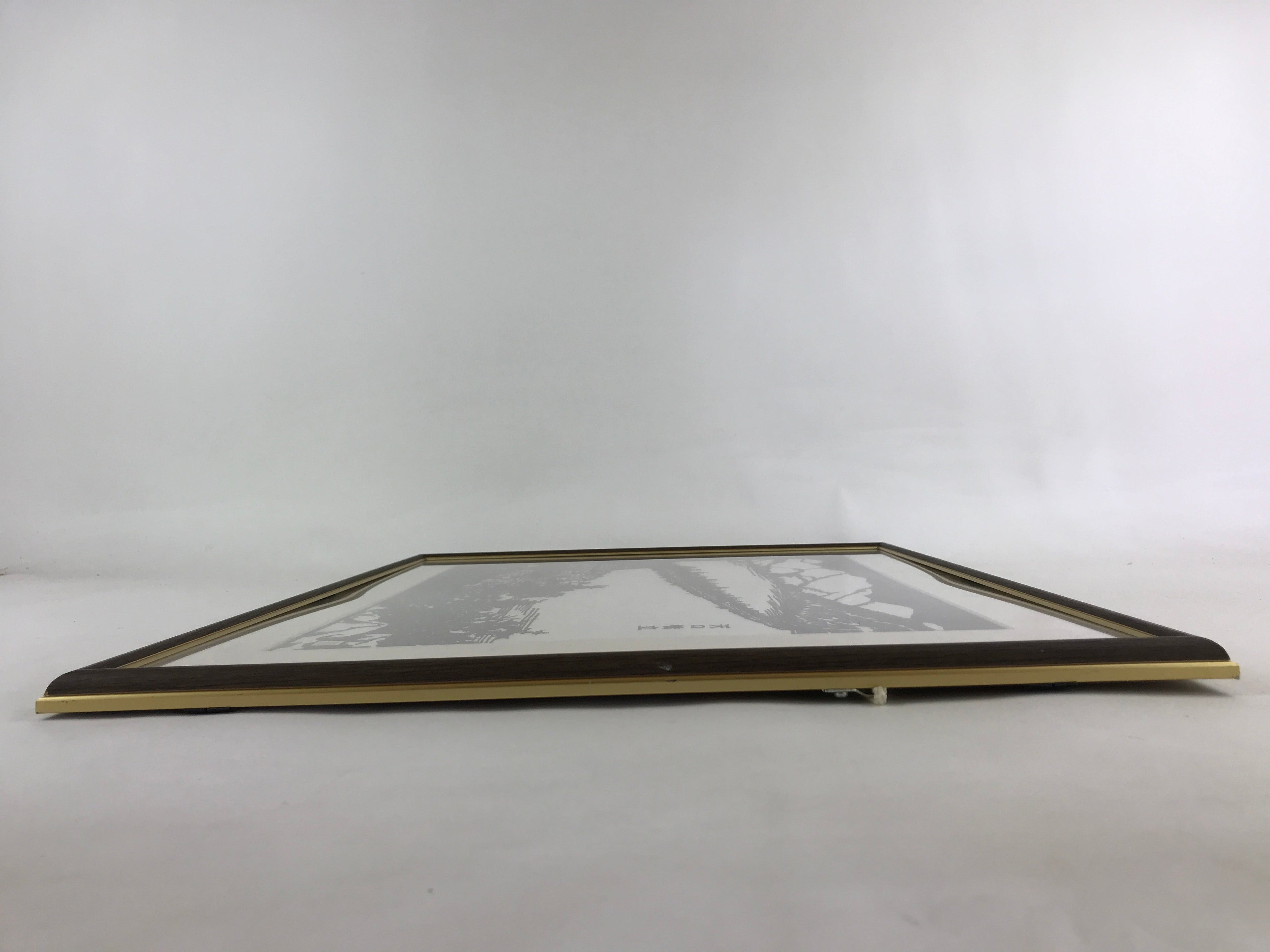 Japanese Framed Katagami Vtg Kimono Stencil Amanohashidate Kyoto Vista FR18