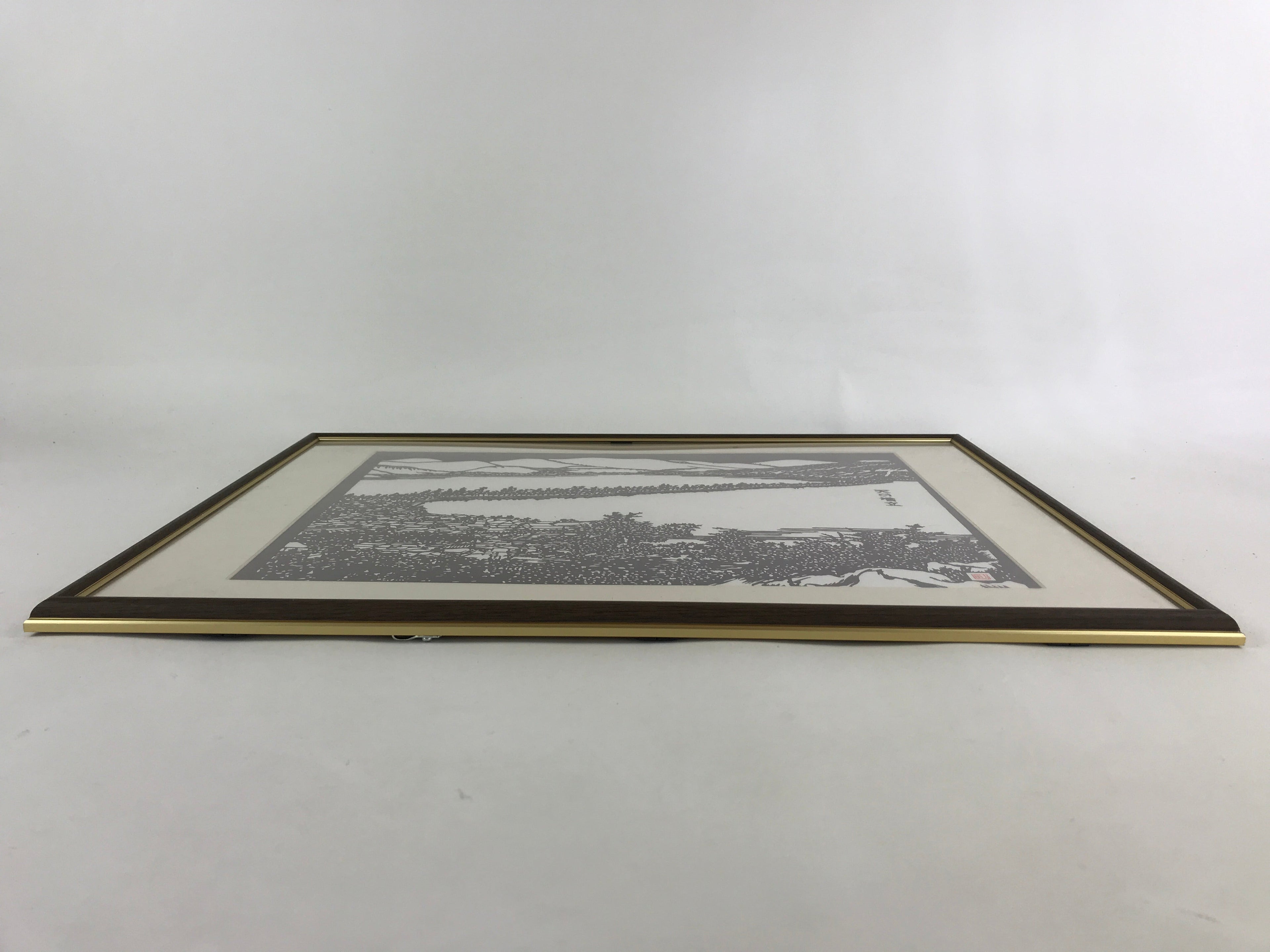 Japanese Framed Katagami Vtg Kimono Stencil Amanohashidate Kyoto Vista FR18