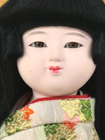 Japanese Glass Case Big Doll Ningyo Princess Vtg Girl's Day Ohinasama Silk ID656