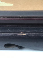 Japanese Glass Case Big Doll Ningyo Princess Vtg Girl's Day Ohinasama Silk ID656