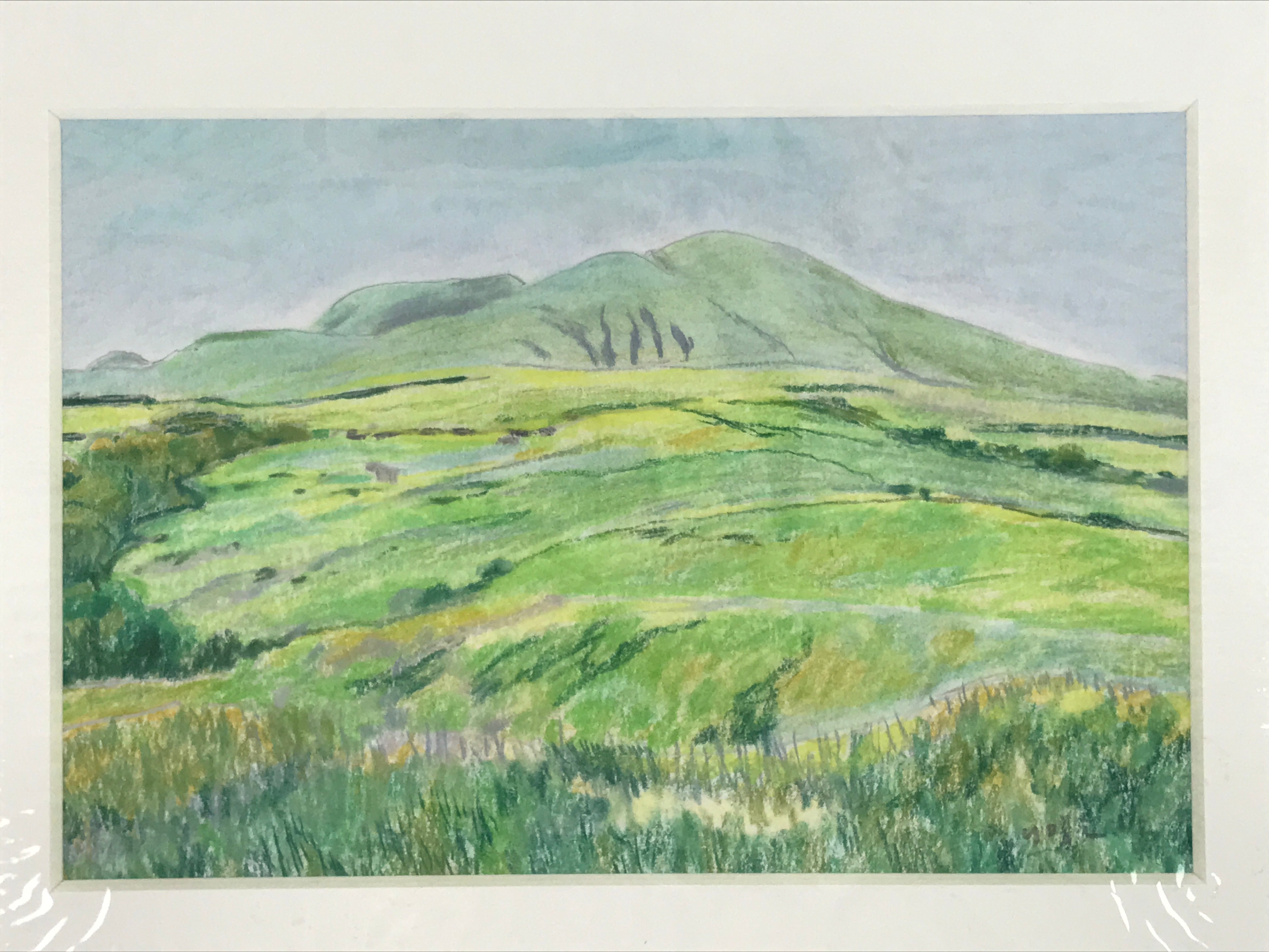 Japanese Grassy Field Landscape Pastel Drawing Art Signed Yoshihiro Hagino FL342