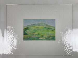 Japanese Grassy Field Landscape Pastel Drawing Art Signed Yoshihiro Hagino FL342