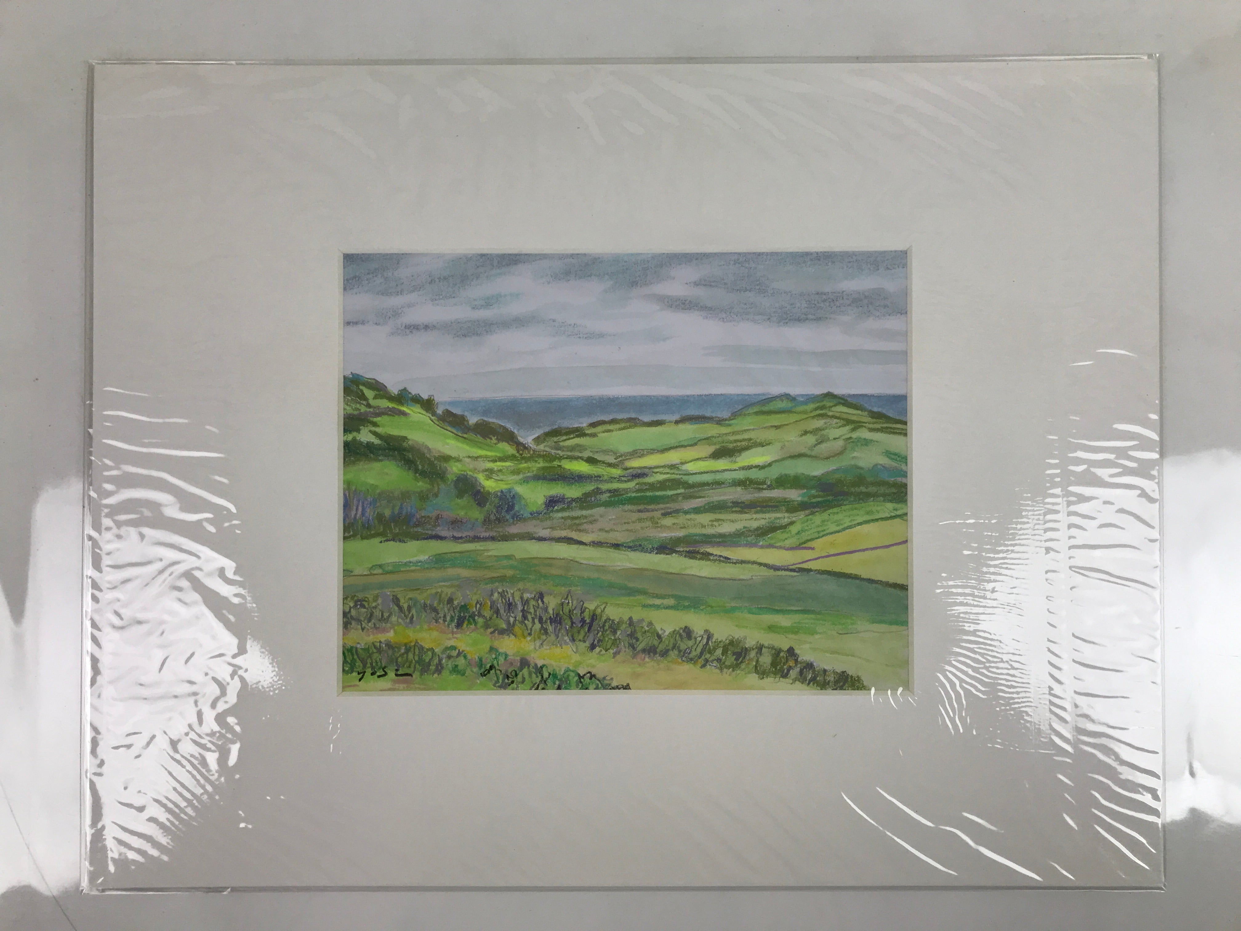 Japanese Green Fields Landscape Pastel Drawing Art Signed Yoshihiro Hagino FL344