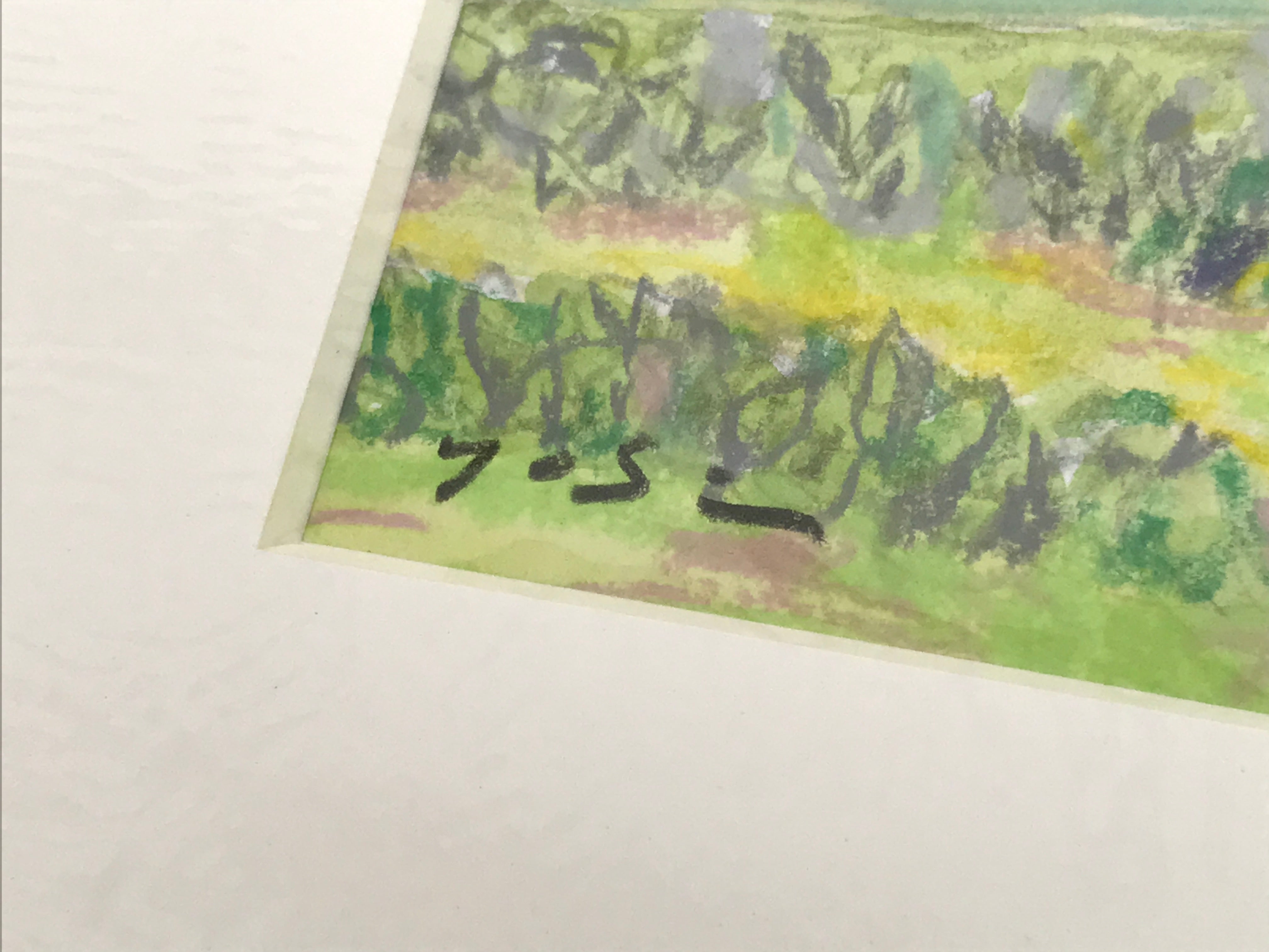 Japanese Green Fields Landscape Pastel Drawing Art Signed Yoshihiro Hagino FL344