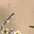 Japanese Hanging Scroll 4 Seasons Flowers Plum Crysanthemum Peony Kakejiku KJ12