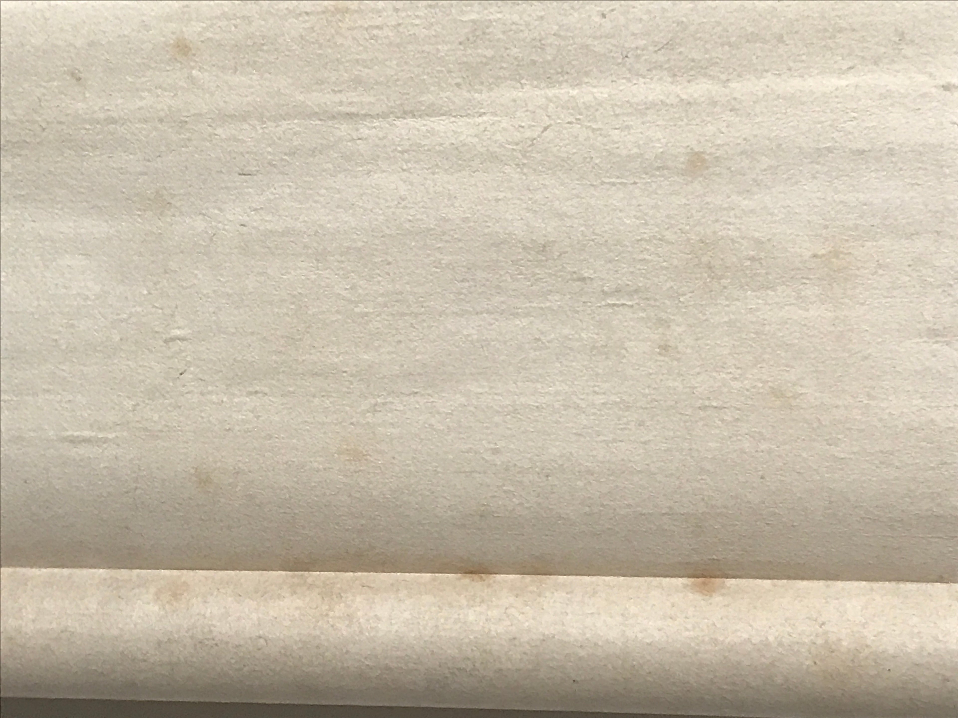Japanese Hanging Scroll Calligraphy Lotus Root Drawing Kakejiku KJ2