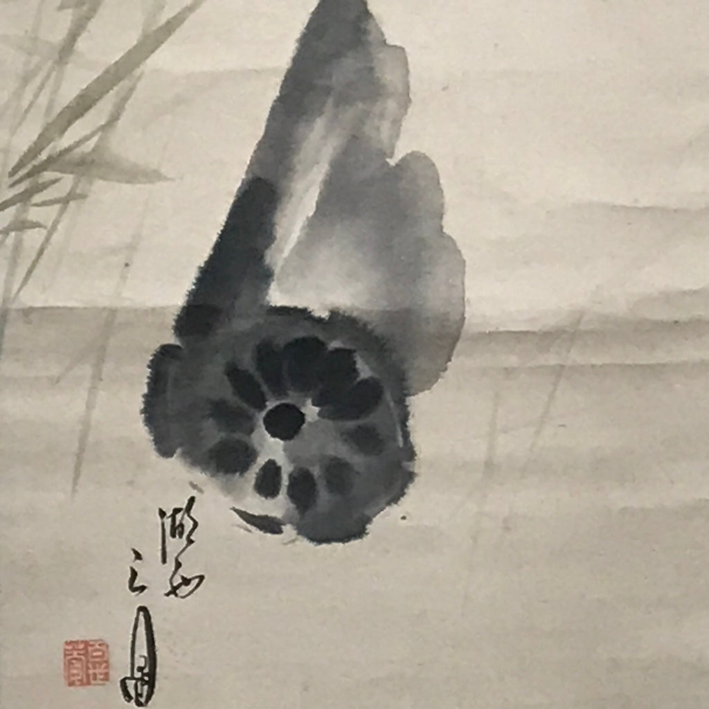 Japanese Hanging Scroll Calligraphy Lotus Root Drawing Kakejiku KJ2