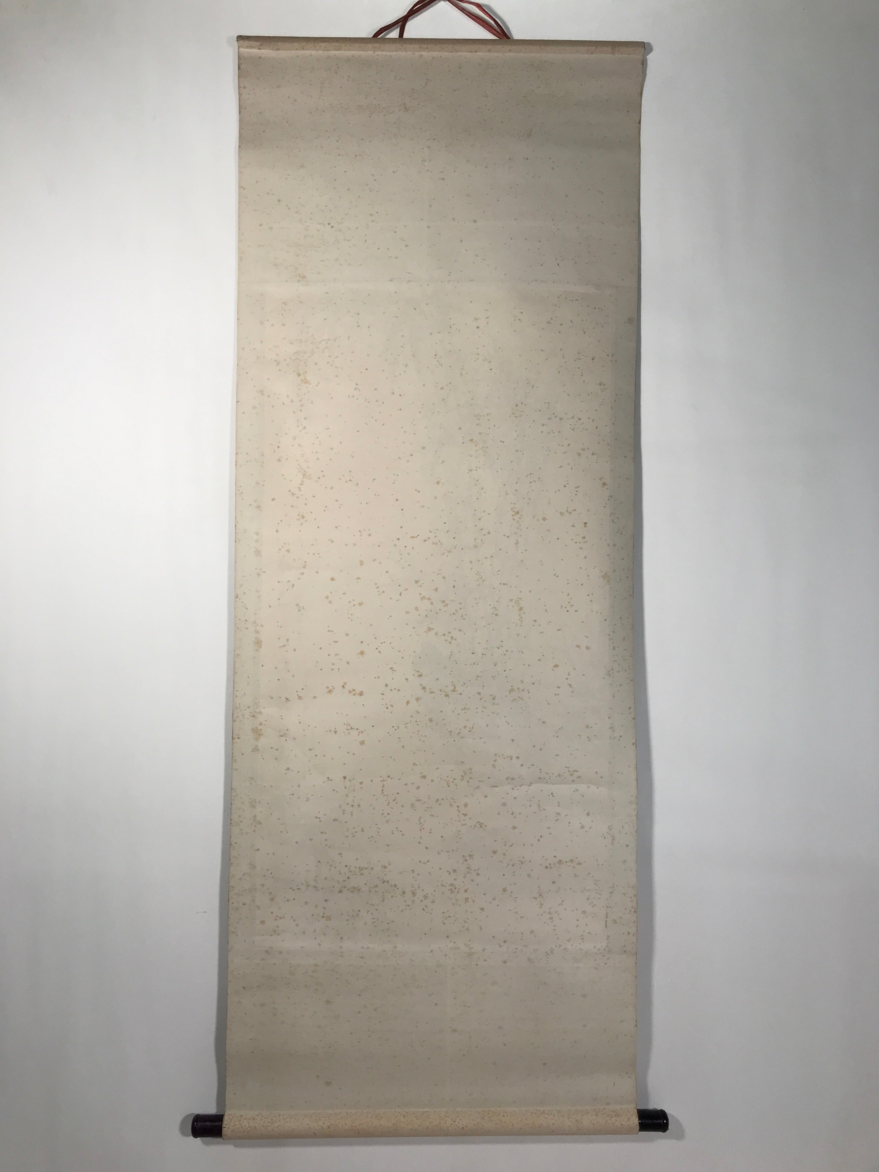 Japanese Hanging Scroll Kakejiku Vtg Bamboo Stem Leaves Mountain Black Ink KJ91