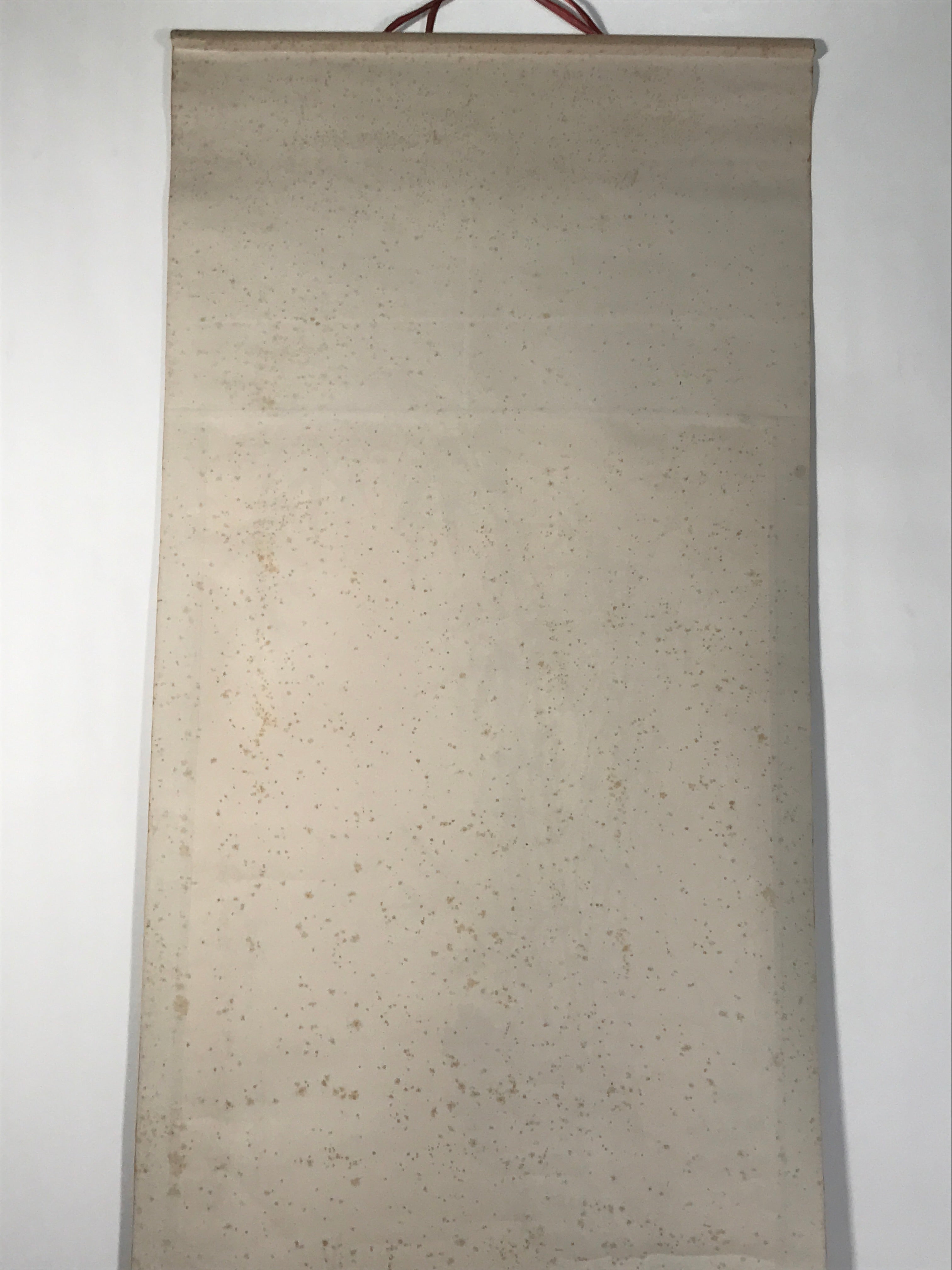 Japanese Hanging Scroll Kakejiku Vtg Bamboo Stem Leaves Mountain Black Ink KJ91