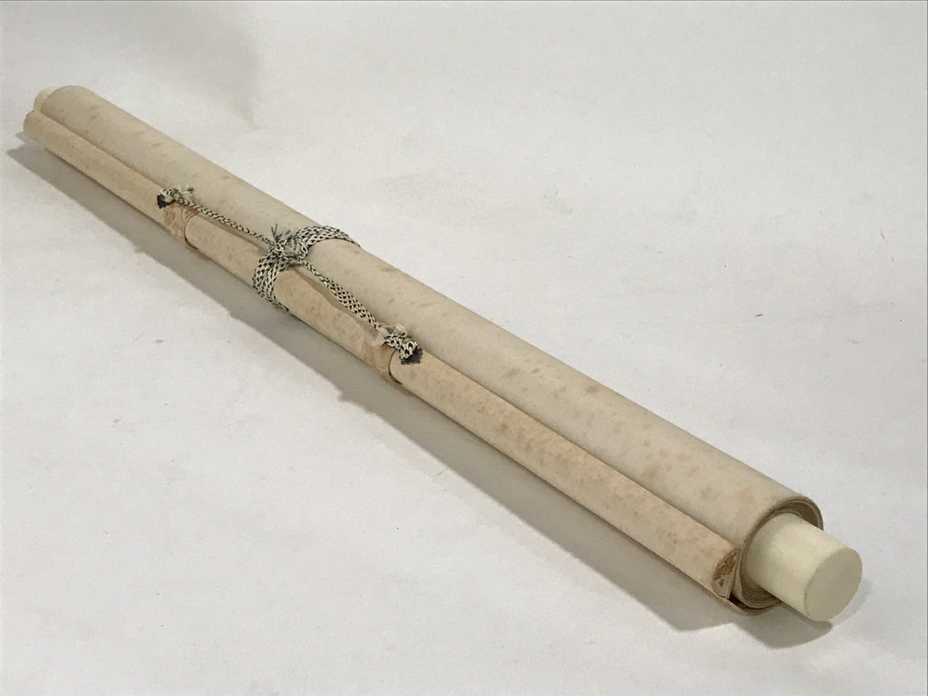 Japanese Hanging Scroll Kakejiku Vtg Bird Crane Tsuru Nest Tree Color KJ81