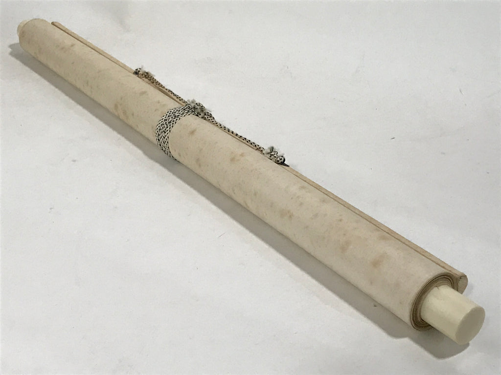 Japanese Hanging Scroll Kakejiku Vtg Bird Crane Tsuru Nest Tree Color KJ81