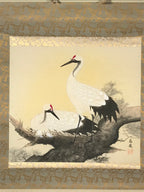Japanese Hanging Scroll Kakejiku Vtg Bird Crane Tsuru Nest Tree Color KJ81