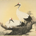 Japanese Hanging Scroll Kakejiku Vtg Bird Crane Tsuru Nest Tree Color KJ81