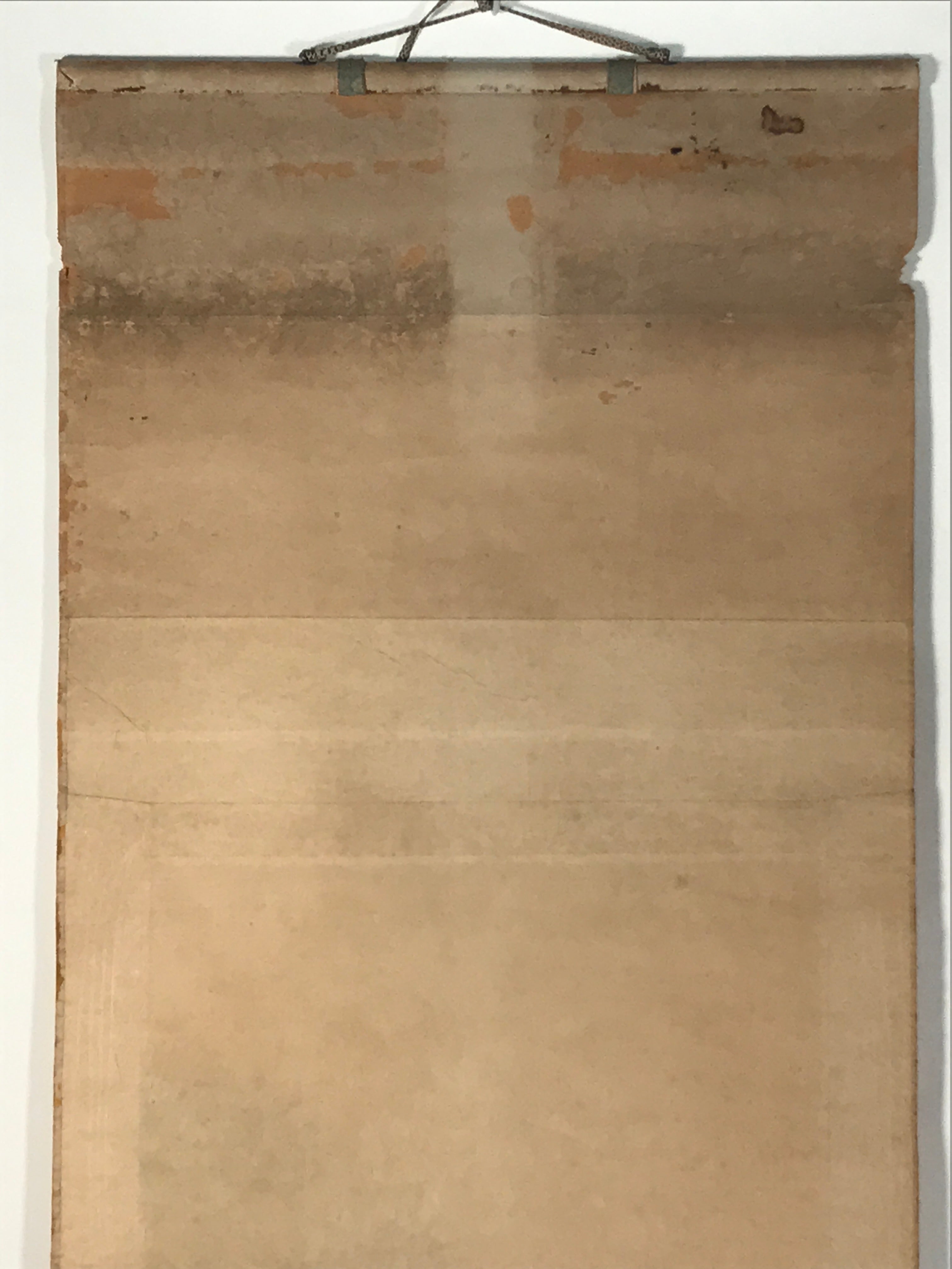 Japanese Hanging Scroll Kakejiku Vtg Blue Bird Pine Tree Camellia Flower KJ88
