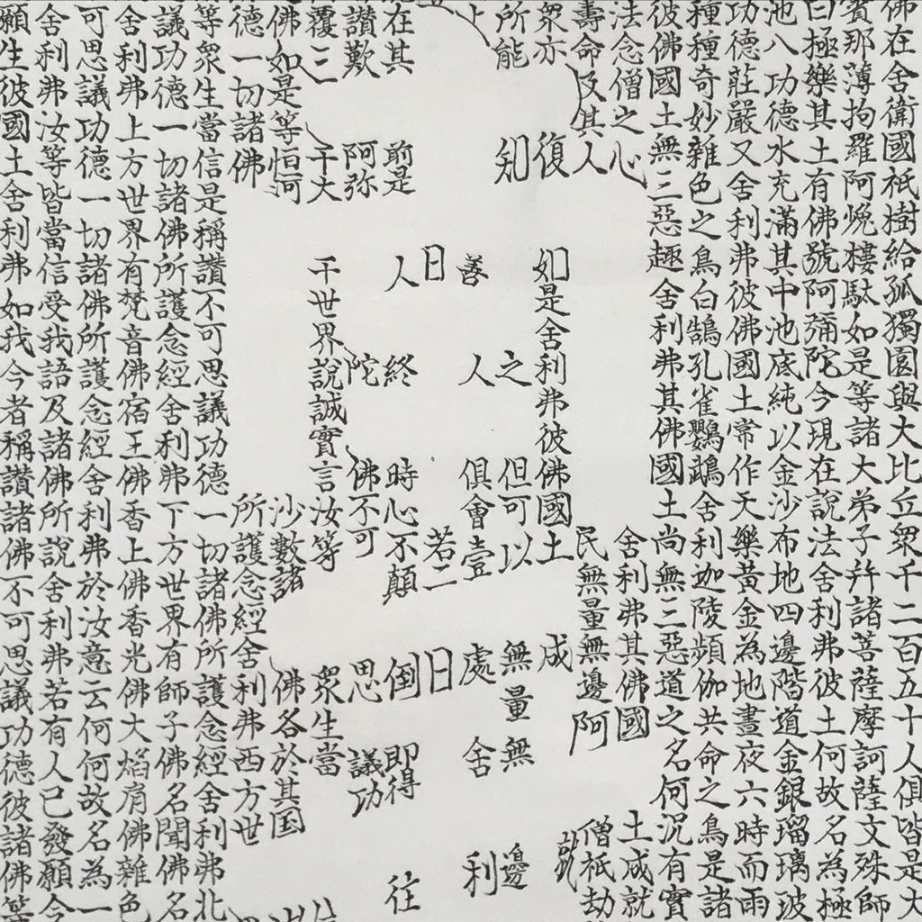 Japanese Hanging Scroll Kakejiku Vtg Buddhist Calligraphy Amitabha Sutra KJ177