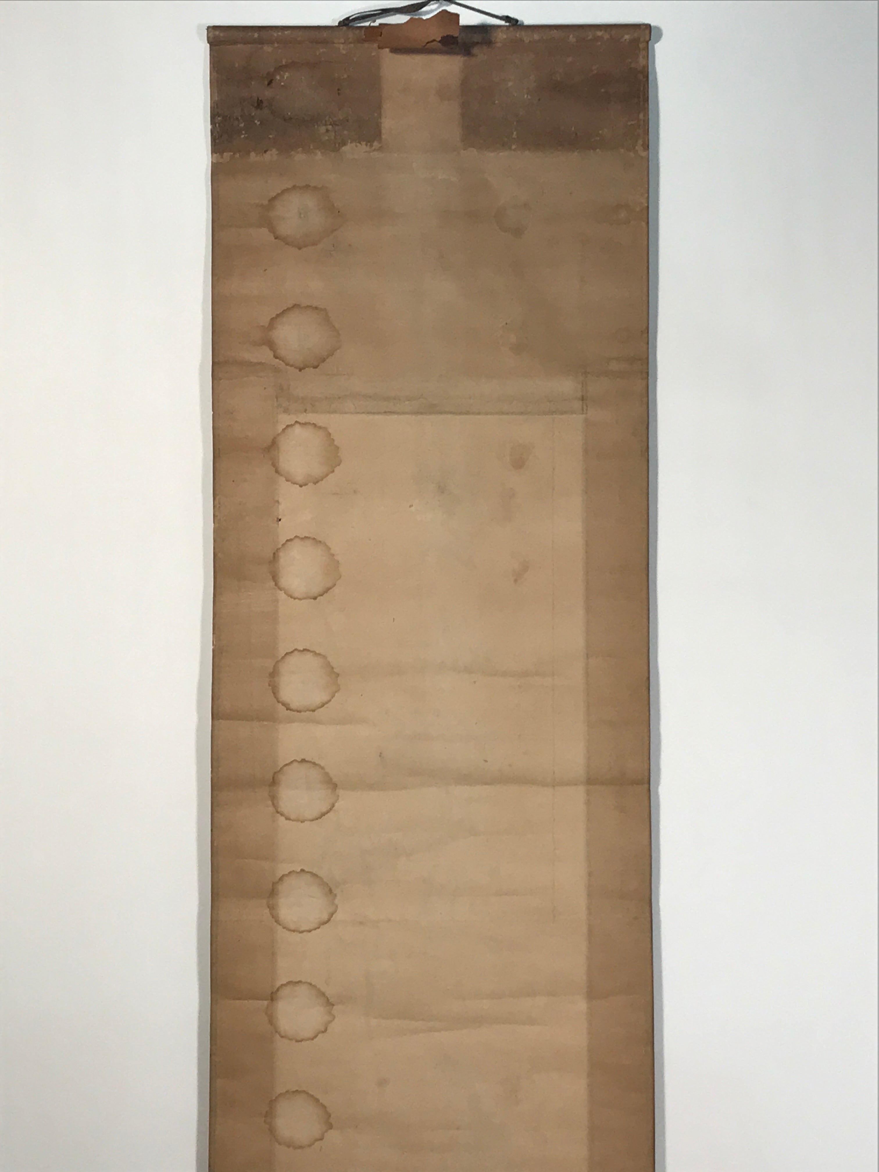 Japanese Hanging Scroll Kakejiku Vtg Calligraphy Chicken Black Ink Green KJ172