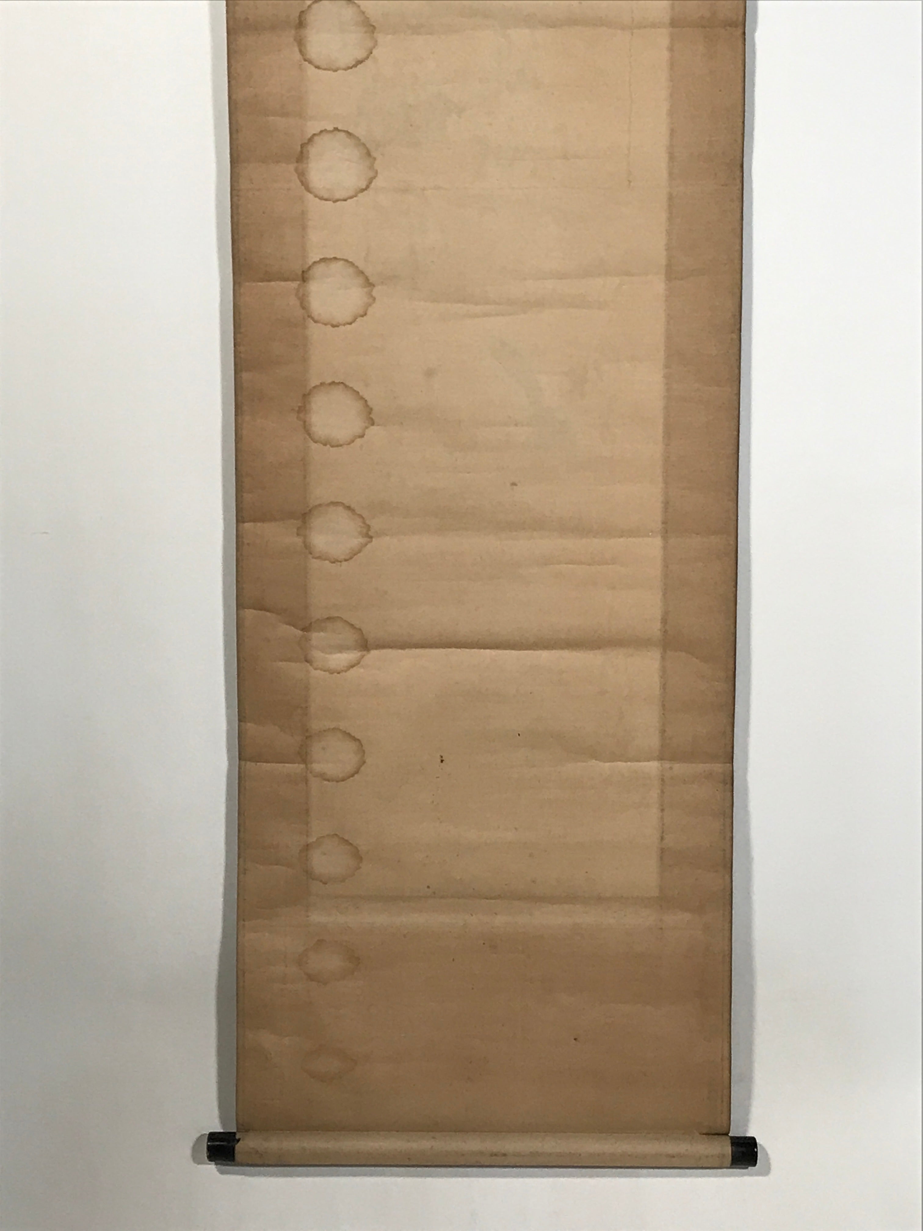 Japanese Hanging Scroll Kakejiku Vtg Calligraphy Chicken Black Ink Green KJ172