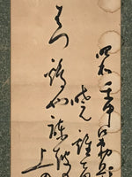 Japanese Hanging Scroll Kakejiku Vtg Calligraphy Chicken Black Ink Green KJ172