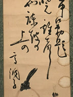 Japanese Hanging Scroll Kakejiku Vtg Calligraphy Chicken Black Ink Green KJ172