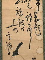 Japanese Hanging Scroll Kakejiku Vtg Calligraphy Chicken Black Ink Green KJ172