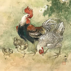 Japanese Hanging Scroll Kakejiku Vtg Chicken Family Chrysanthemum Color KJ93