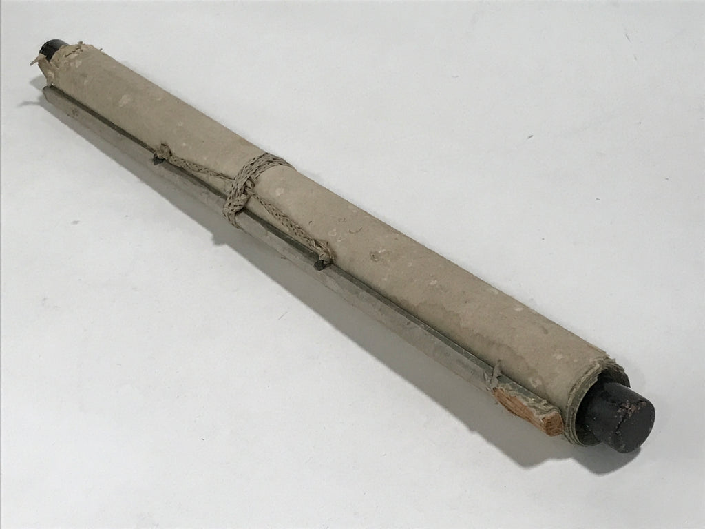 Japanese Hanging Scroll Kakejiku Vtg Crane Tsuru Standing Rock Birds Color KJ113