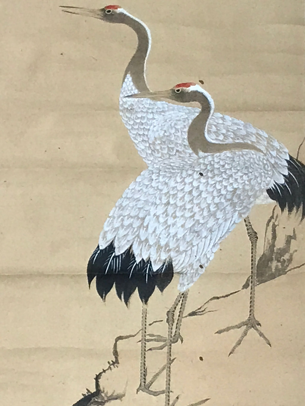 Japanese Hanging Scroll Kakejiku Vtg Crane Tsuru Standing Rock Birds Color KJ113