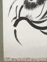 Japanese Hanging Scroll Kakejiku Vtg Daruma Buddhist Monk Portrait Black KJ83