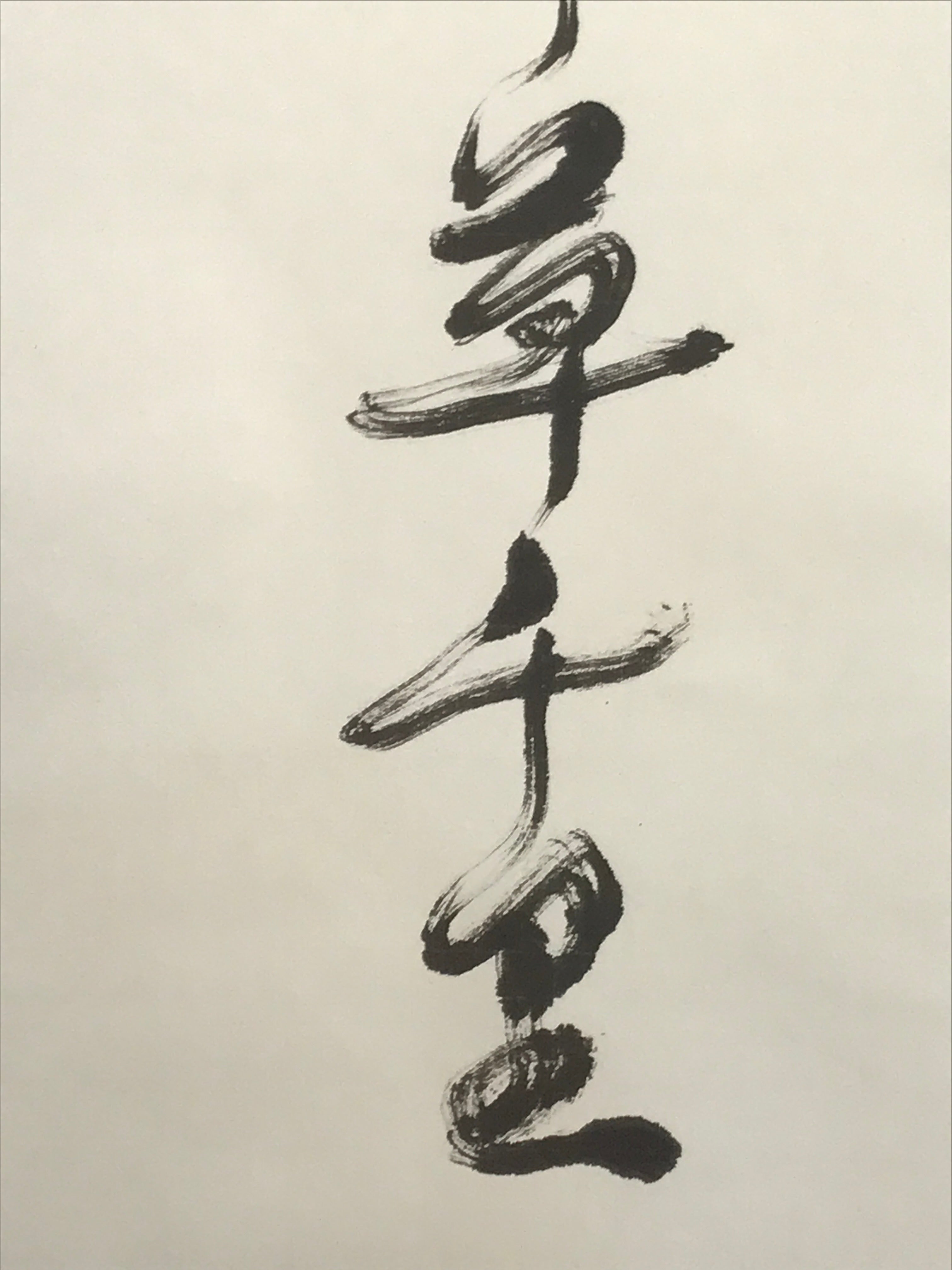 Japanese Hanging Scroll Kakejiku Vtg Haiku Poem Calligraphy Black Green KJ183