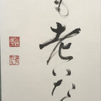 Japanese Hanging Scroll Kakejiku Vtg Haiku Poem Calligraphy Black Green KJ183