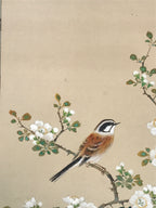 Japanese Hanging Scroll Kakejiku Vtg Hawthorn Flowers Sparrow Bird Color KJ79