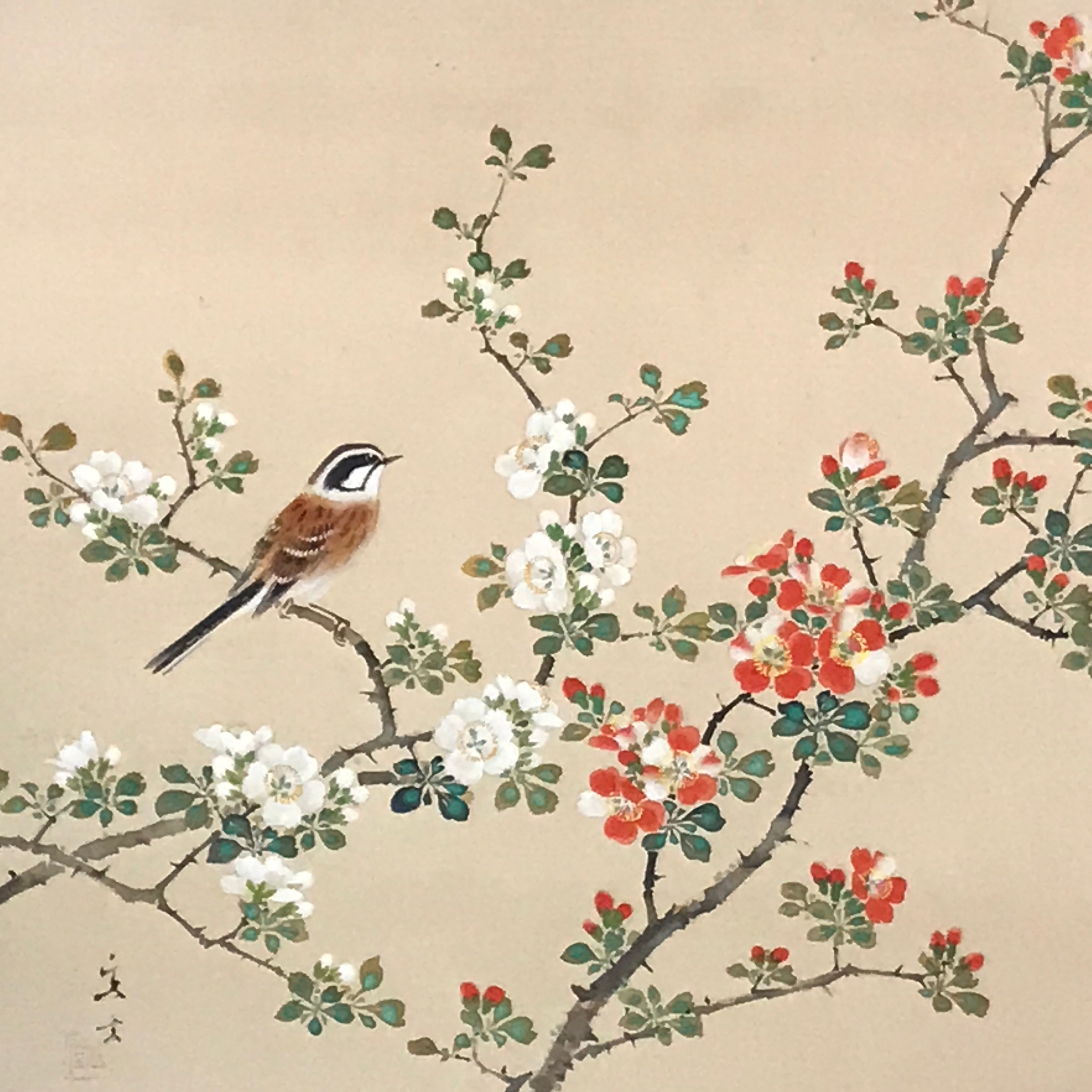 Japanese Hanging Scroll Kakejiku Vtg Hawthorn Flowers Sparrow Bird Color KJ79