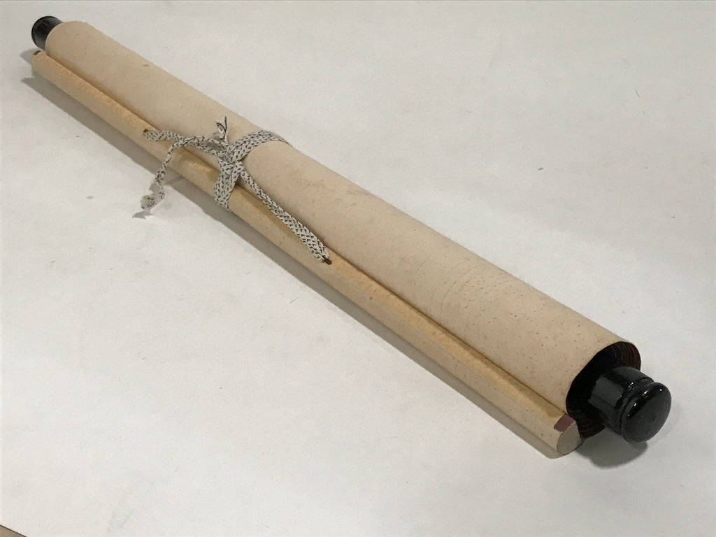Japanese Hanging Scroll Kakejiku Vtg Maikai Rose Flowers Pink Red Poem Ink KJ92