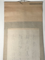 Japanese Hanging Scroll Kakejiku Vtg Maikai Rose Flowers Pink Red Poem Ink KJ92