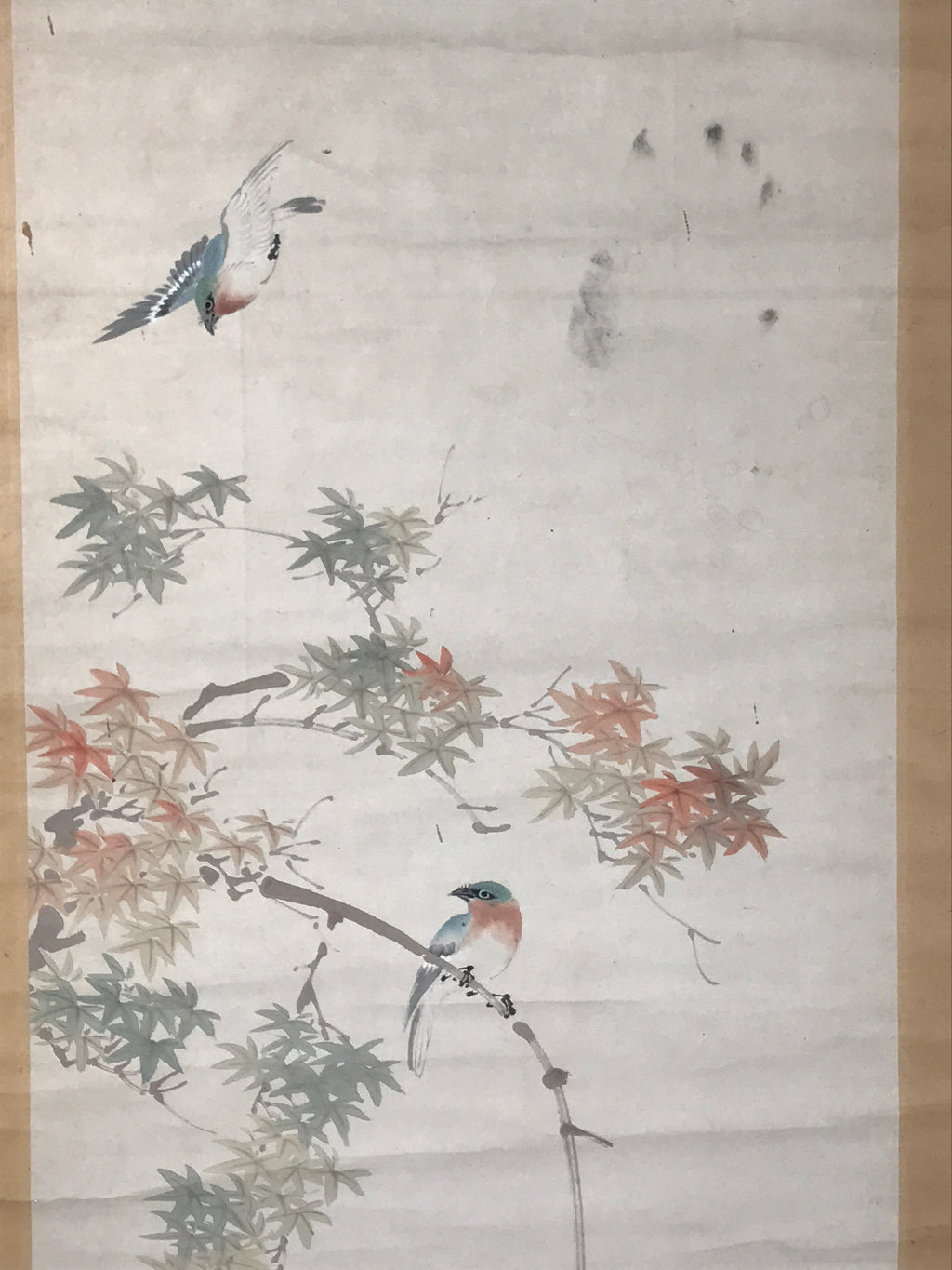 Japanese Hanging Scroll Kakejiku Vtg Momiji Maple Leave Bird Autumn Color KJ132