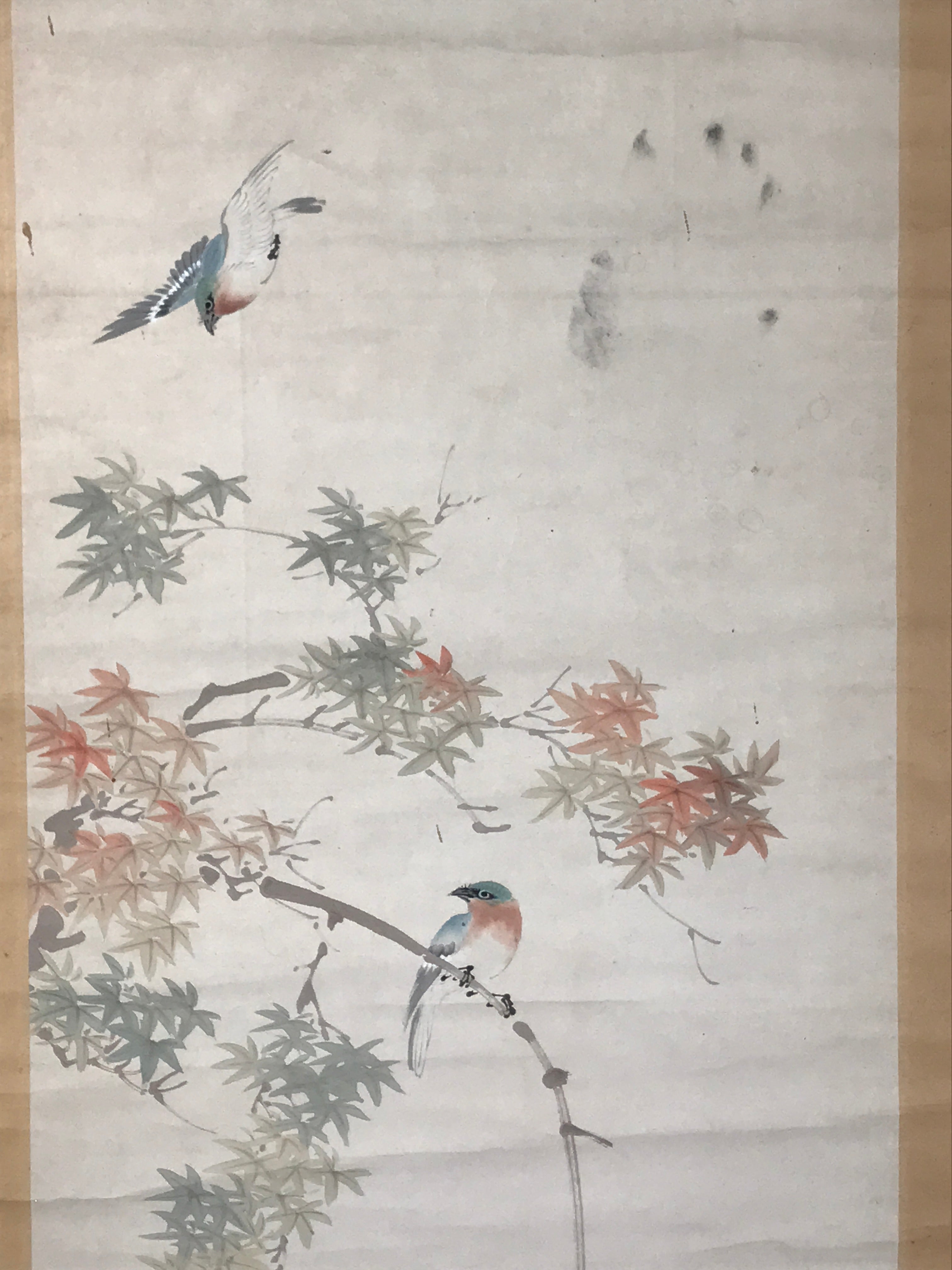 Japanese Hanging Scroll Kakejiku Vtg Momiji Maple Leave Bird Autumn Color KJ132