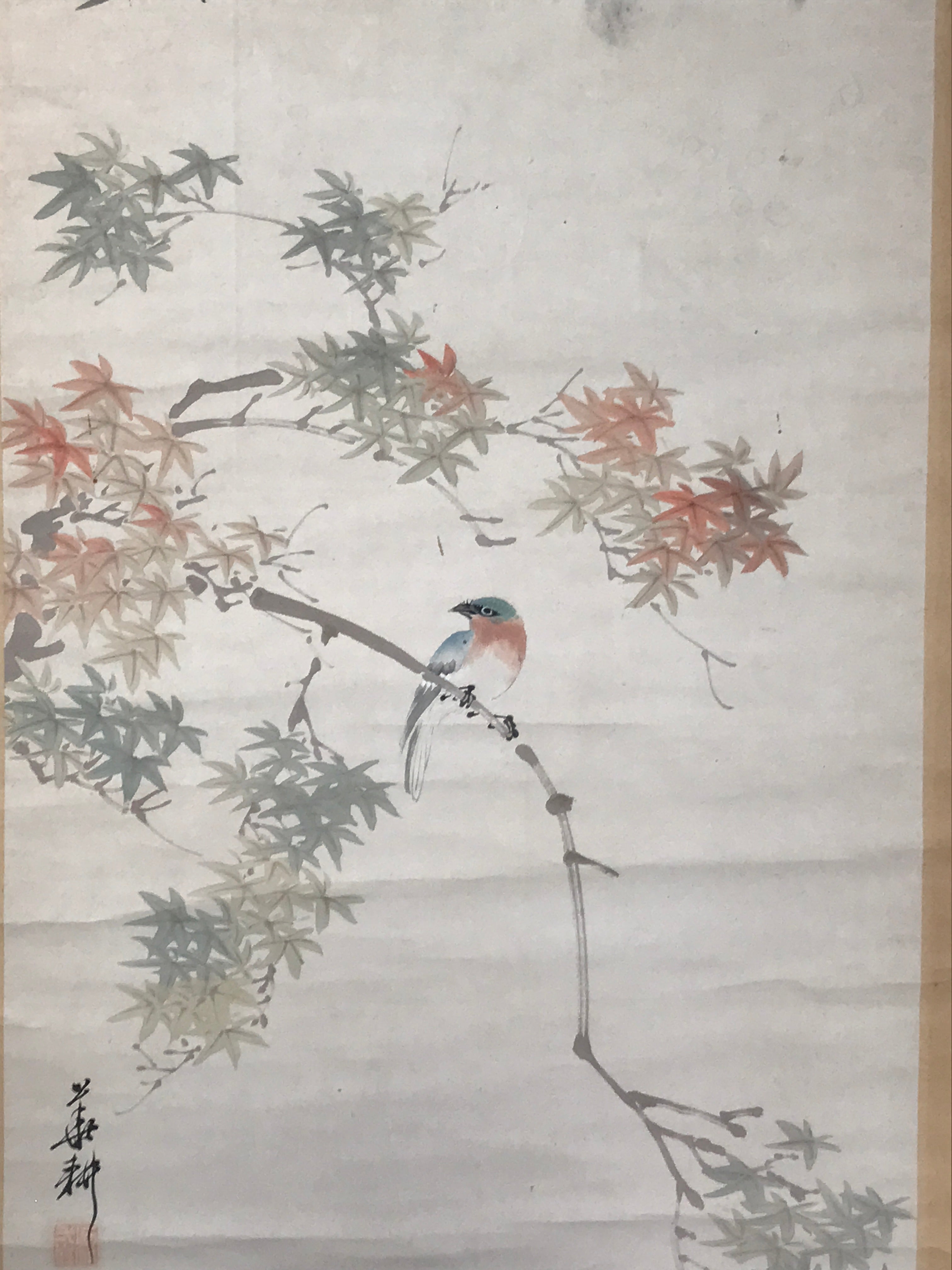 Japanese Hanging Scroll Kakejiku Vtg Momiji Maple Leave Bird Autumn Color KJ132