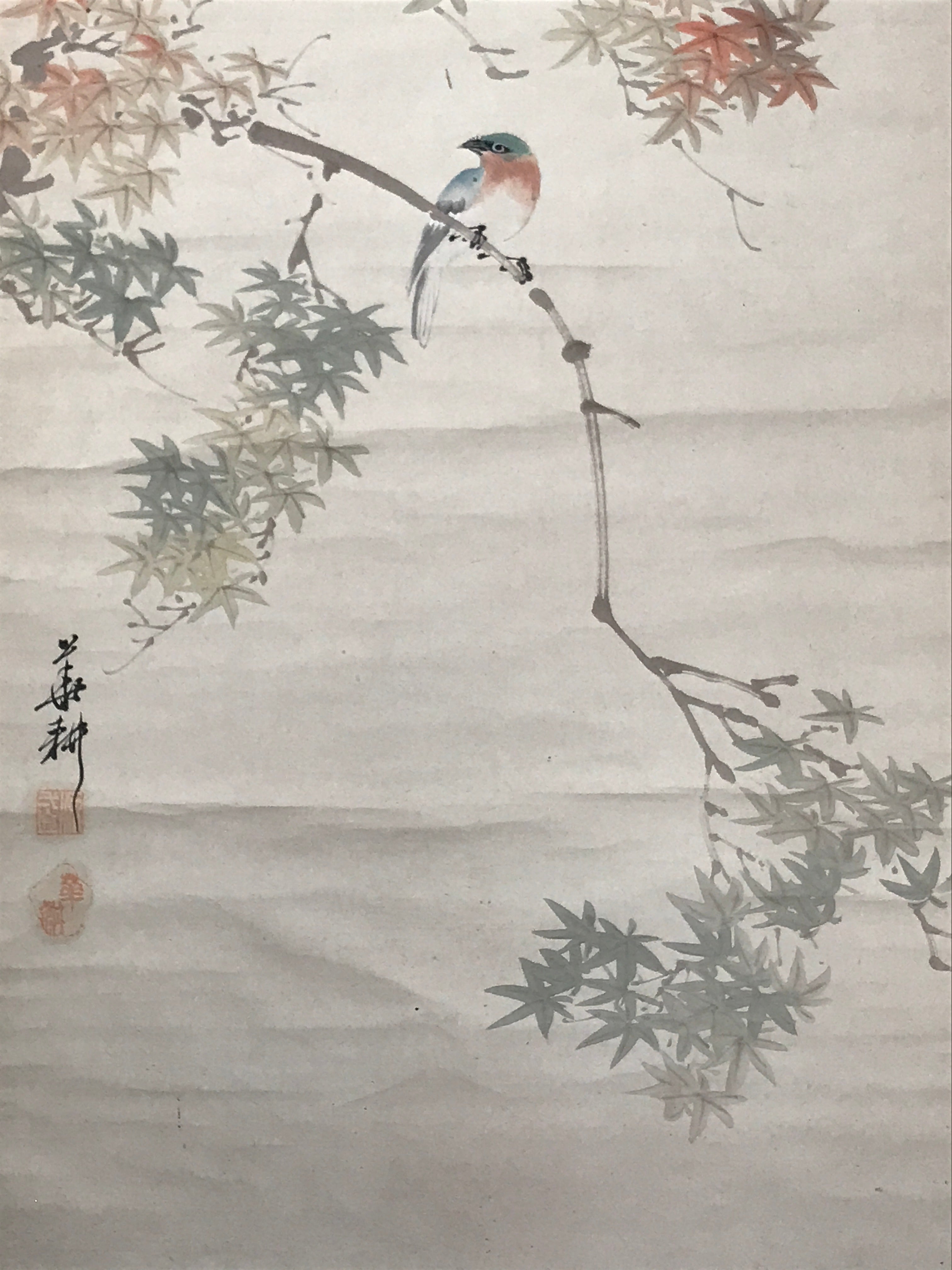 Japanese Hanging Scroll Kakejiku Vtg Momiji Maple Leave Bird Autumn Color KJ132