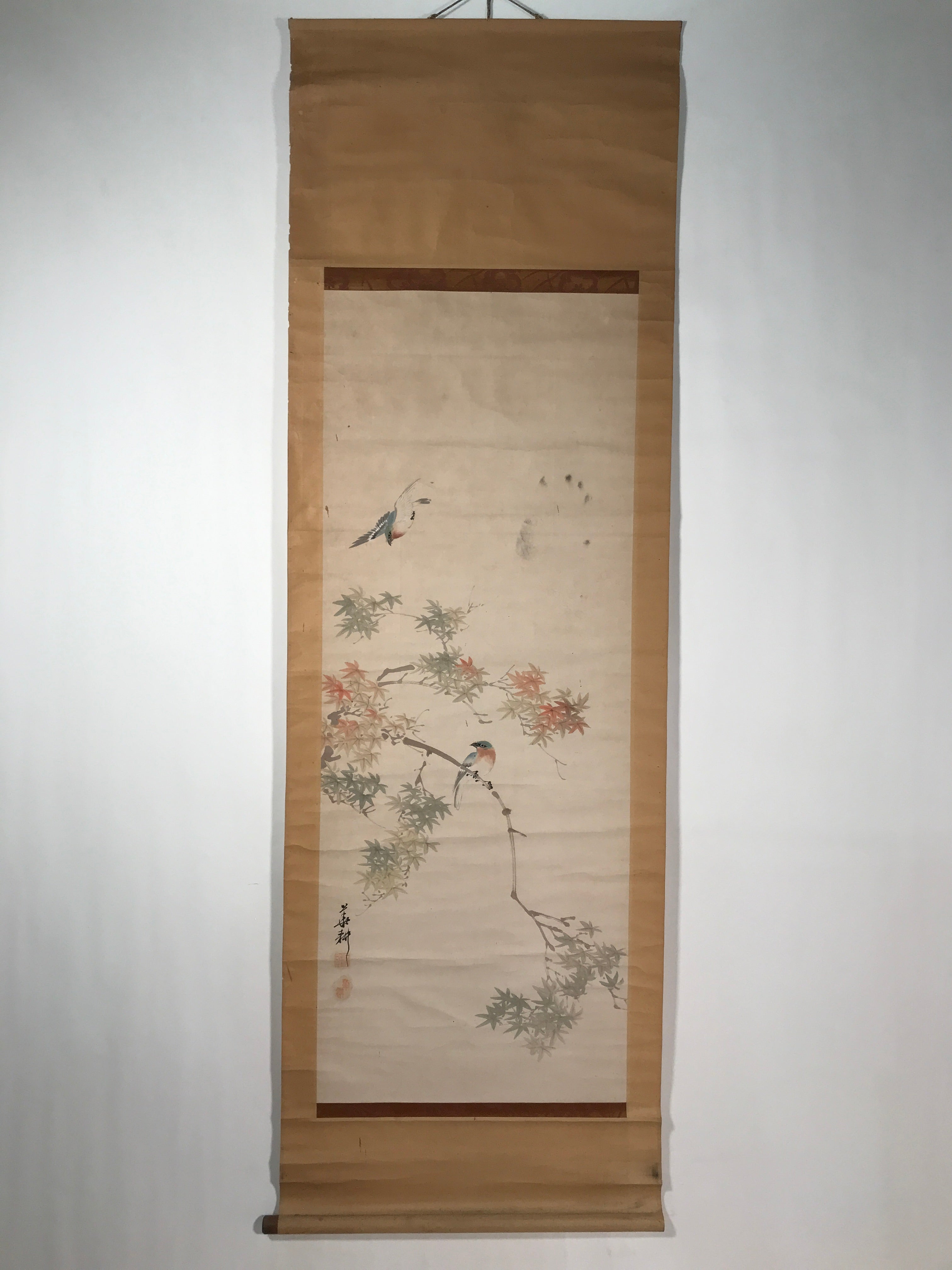Japanese Hanging Scroll Kakejiku Vtg Momiji Maple Leave Bird Autumn Color KJ132
