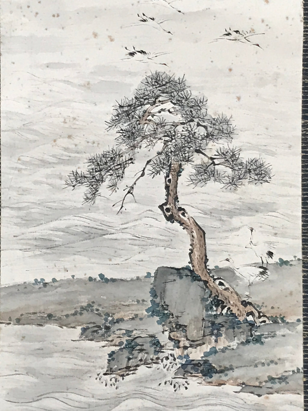 Japanese Hanging Scroll Kakejiku Vtg Pine Tree Flying Cranes Bird Color KJ129