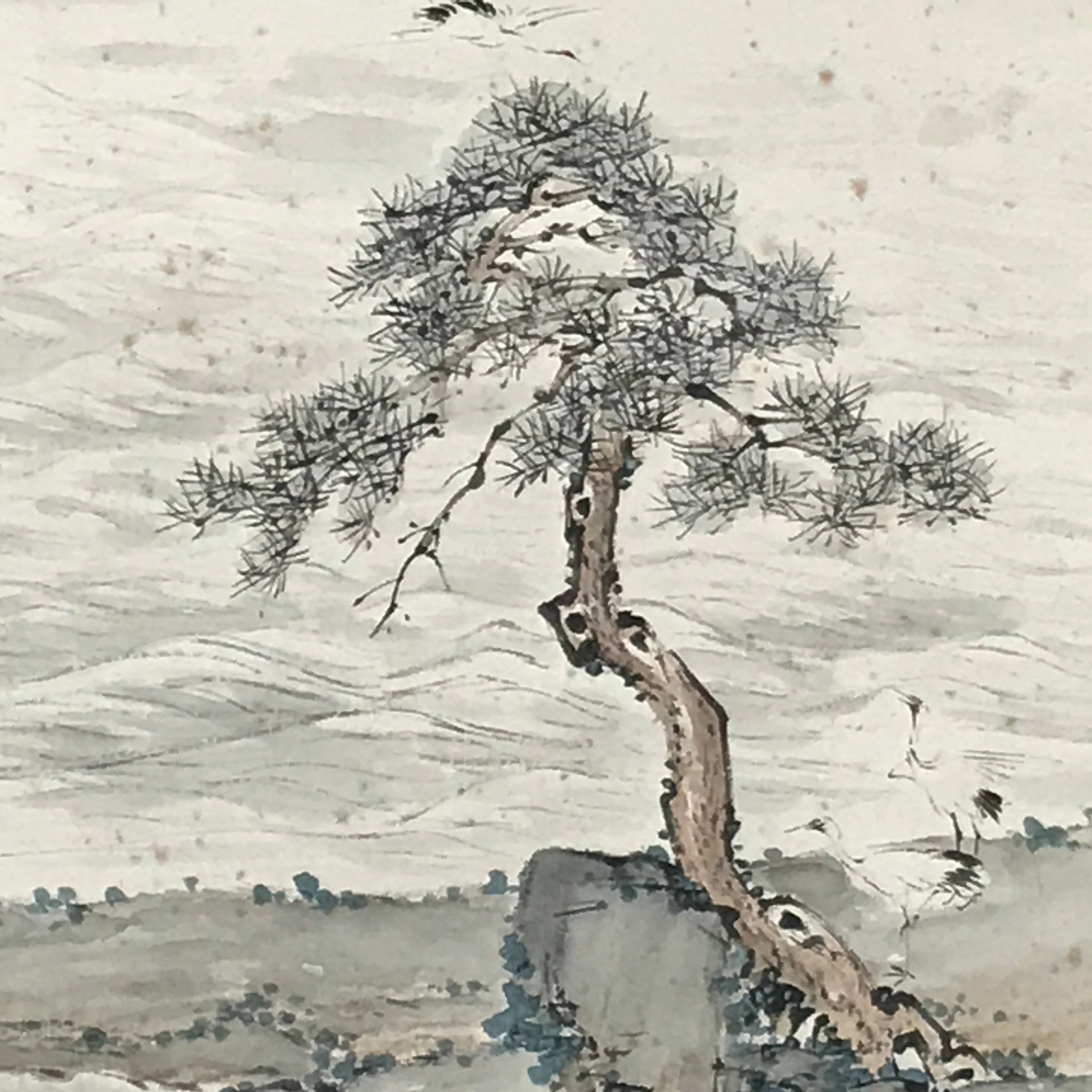 Japanese Hanging Scroll Kakejiku Vtg Pine Tree Flying Cranes Bird Color KJ129