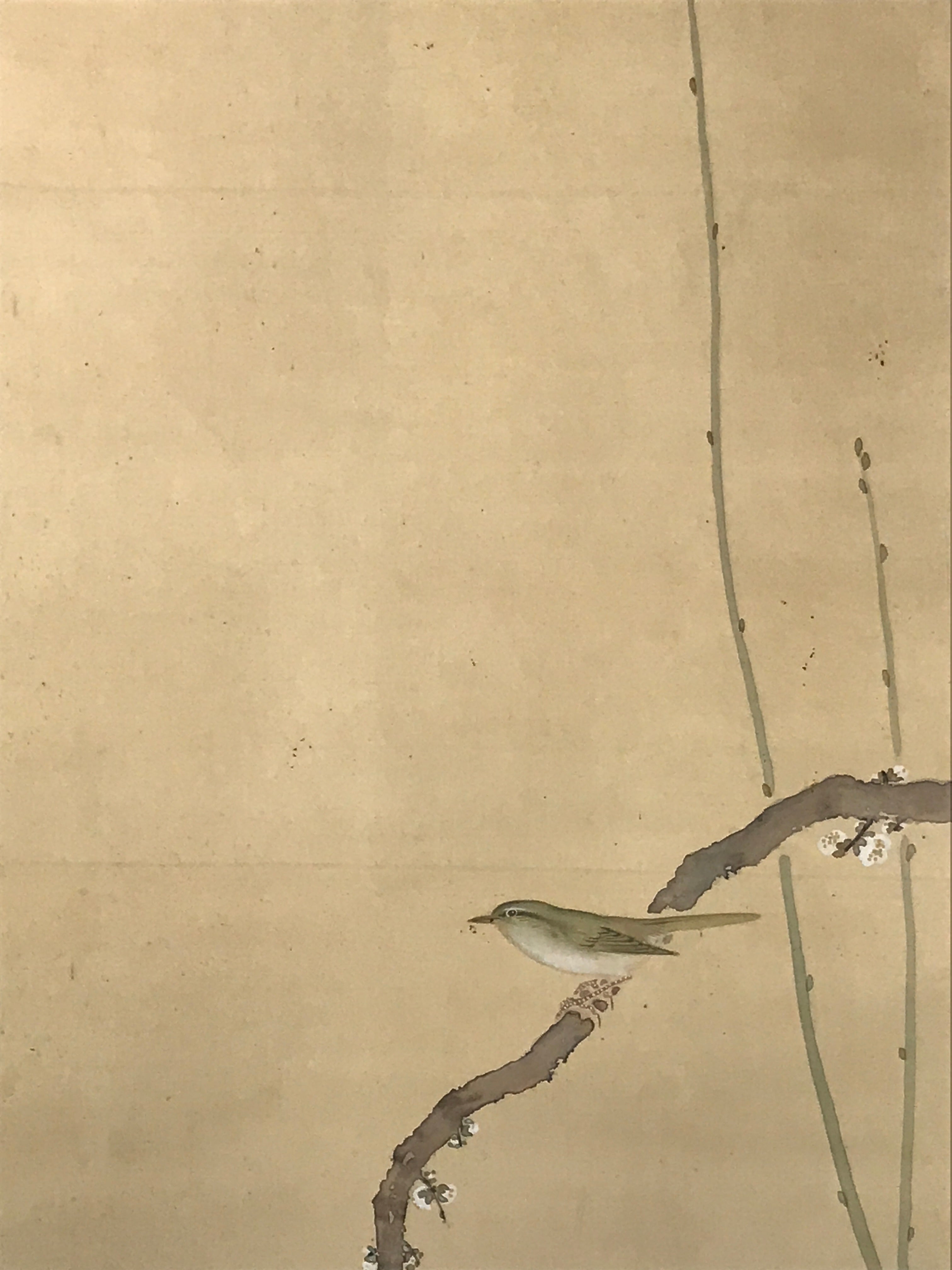 Japanese Hanging Scroll Kakejiku Vtg Plum Blossom Sparrow Bird Color Ink KJ97