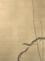 Japanese Hanging Scroll Kakejiku Vtg Plum Blossom Sparrow Bird Color Ink KJ97