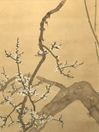 Japanese Hanging Scroll Kakejiku Vtg Plum Blossom Sparrow Bird Color Ink KJ97